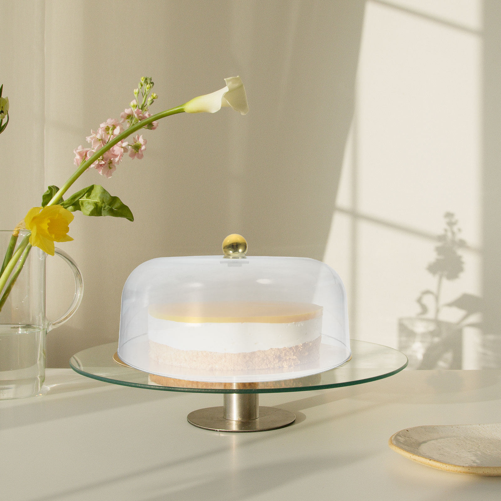 Cúpula Transparente para Paste - Plastic Dome Clear reseña y precio