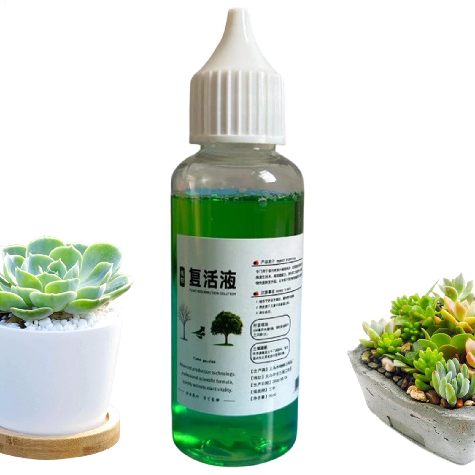 Estimulador de raíces para pla - Root Stimulator Liquid reseña y precio