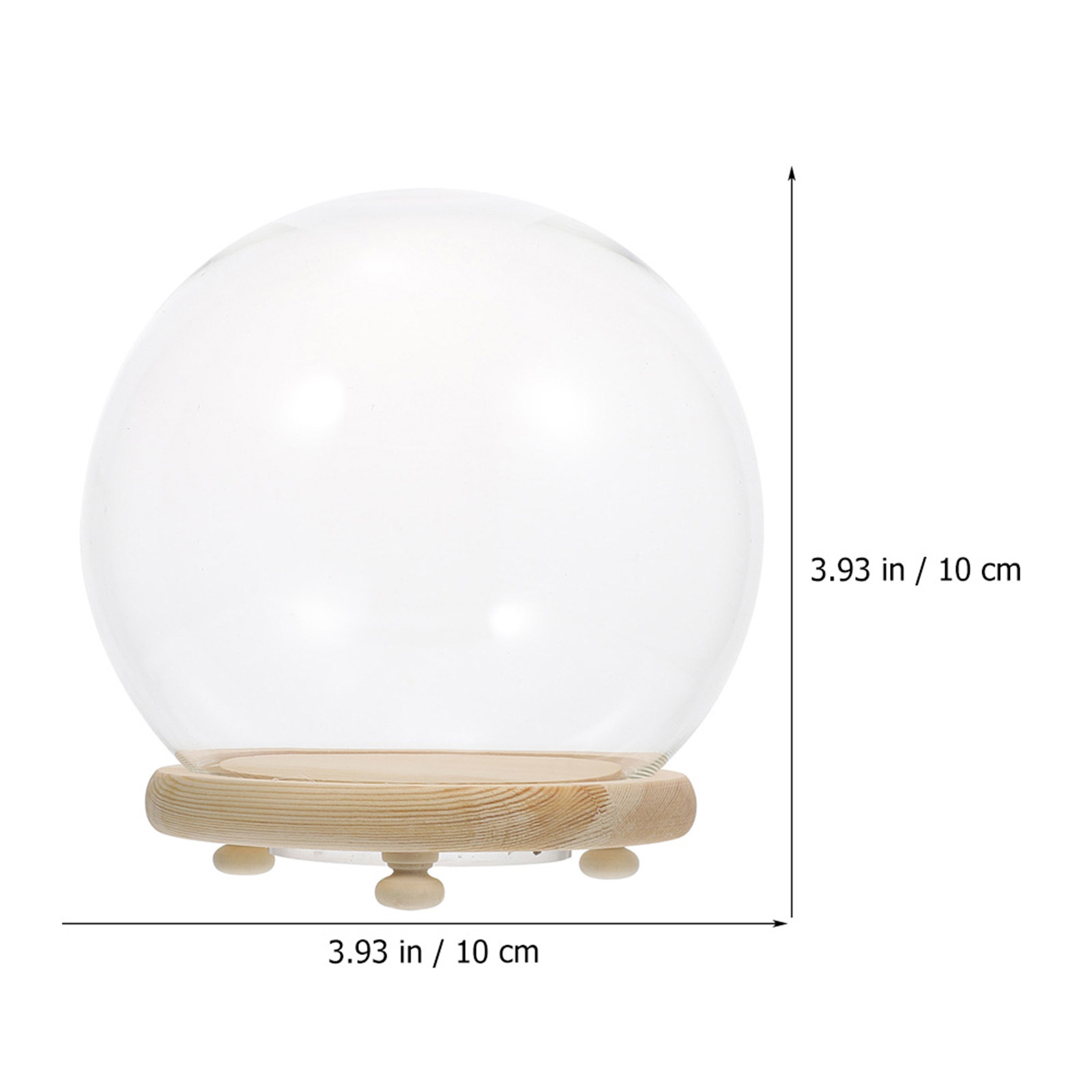 Cúpula de Cristal con Base de  - Plastic Dome Clear reseña y precio