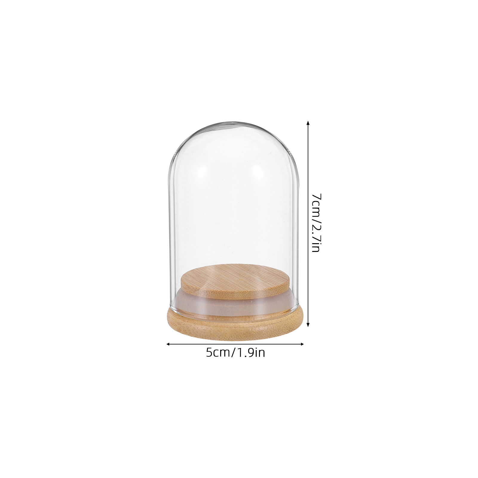 6 piezas de cúpulas de cristal - Plastic Dome Clear reseña y precio